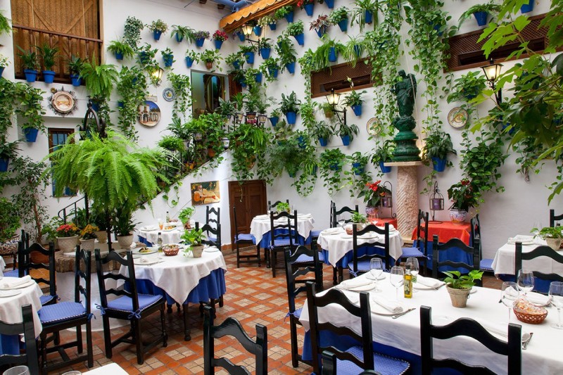 Bodegas Campos: Los Mejores Restaurantes De Córdoba